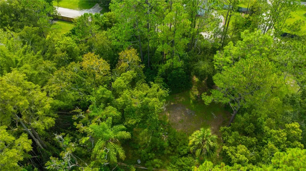 7408 TOM DRIVE Land O Lakes, FL 34638