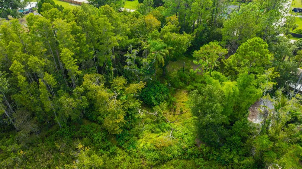 7408 TOM DRIVE Land O Lakes, FL 34638