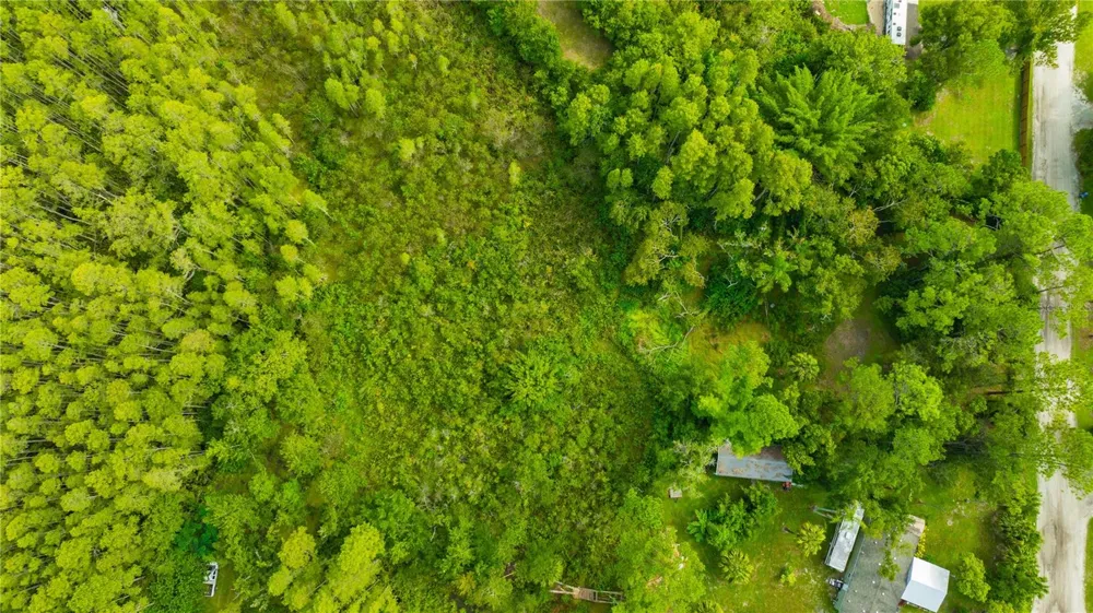 7408 TOM DRIVE Land O Lakes, FL 34638