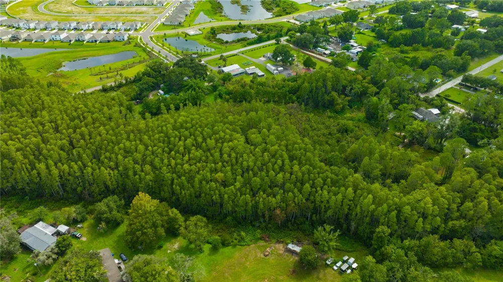 7408 TOM DRIVE Land O Lakes, FL 34638
