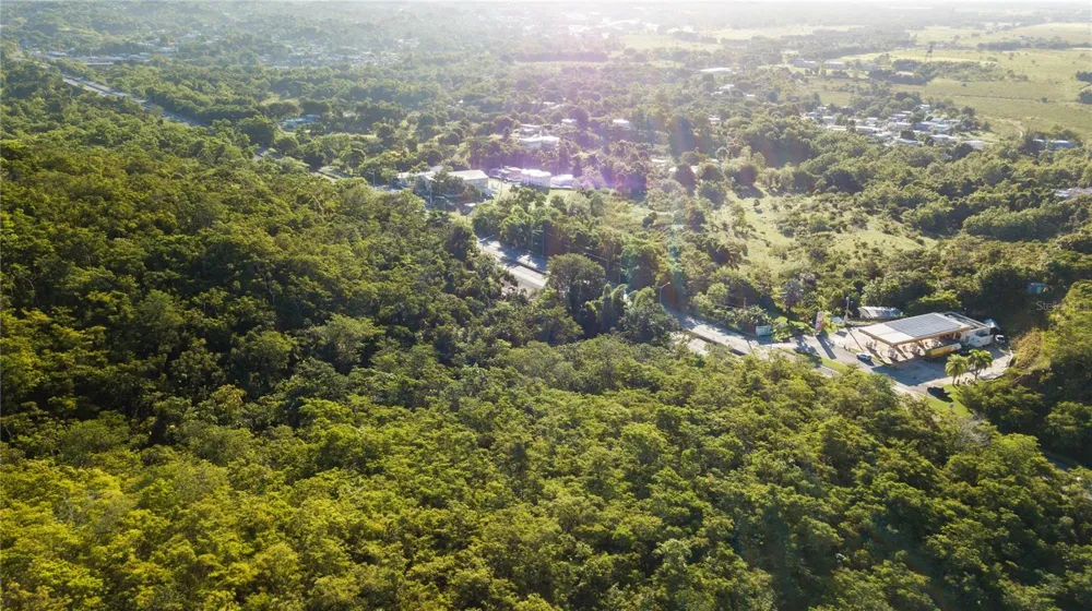 100 PUERTO RICO Cabo Rojo, PR 00623