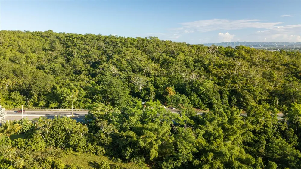 100 PUERTO RICO Cabo Rojo, PR 00623