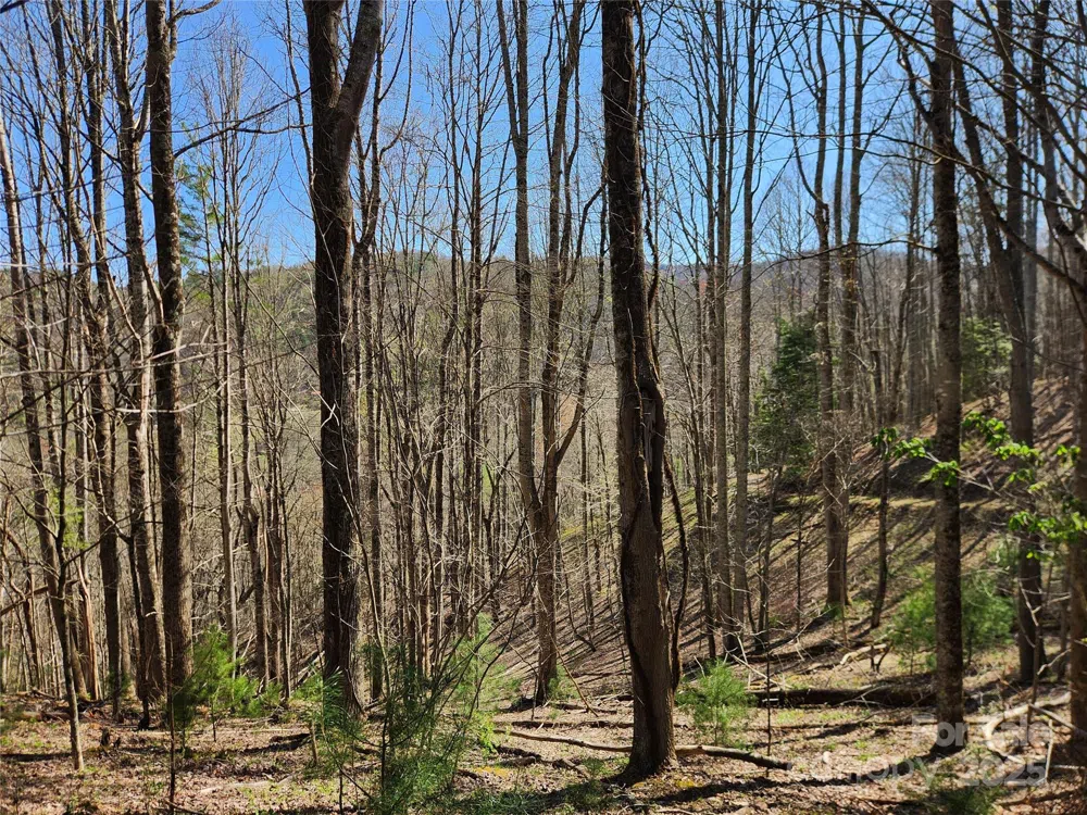 6033 Hwy 321 Highway Sugar Grove, NC 28679