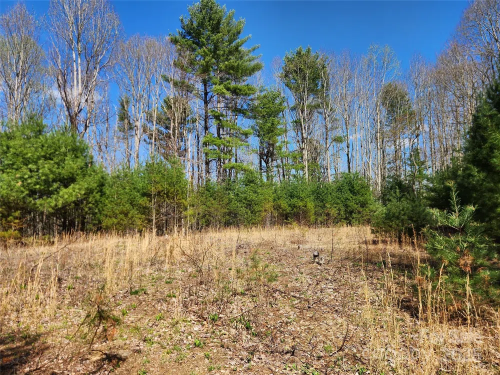 6033 Hwy 321 Highway Sugar Grove, NC 28679