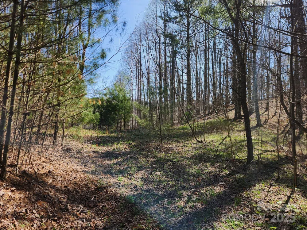 6033 Hwy 321 Highway Sugar Grove, NC 28679