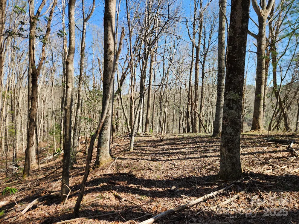 6033 Hwy 321 Highway Sugar Grove, NC 28679