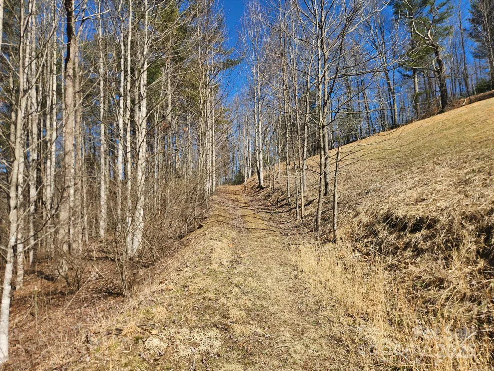 6033 Hwy 321 Highway Sugar Grove, NC 28679