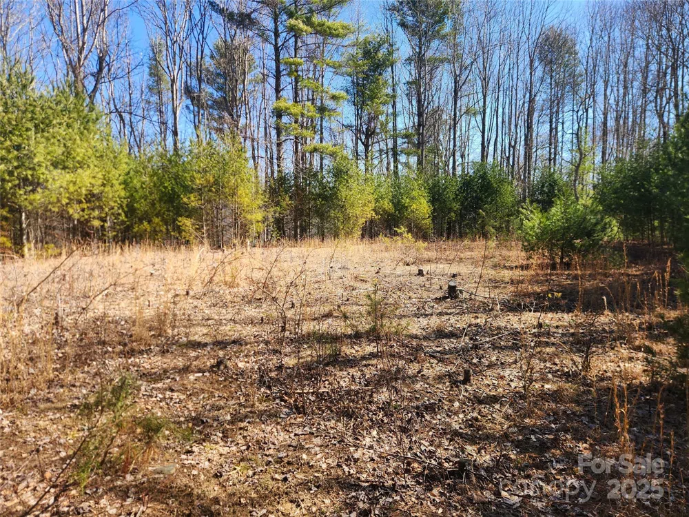 6033 Hwy 321 Highway Sugar Grove, NC 28679