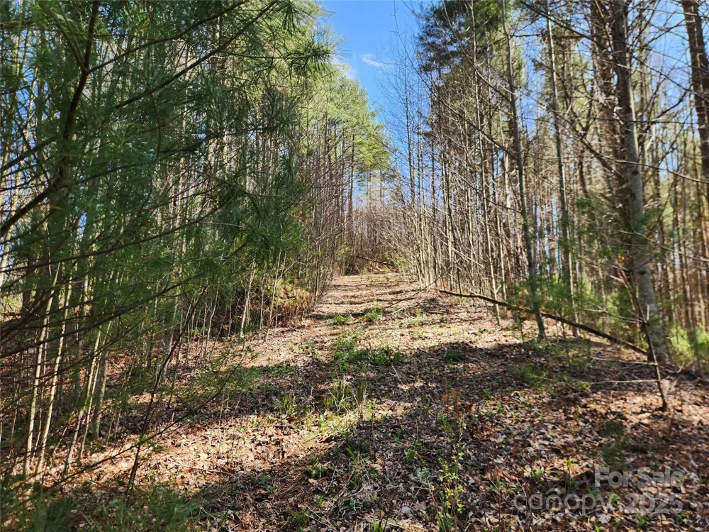6033 Hwy 321 Highway Sugar Grove, NC 28679