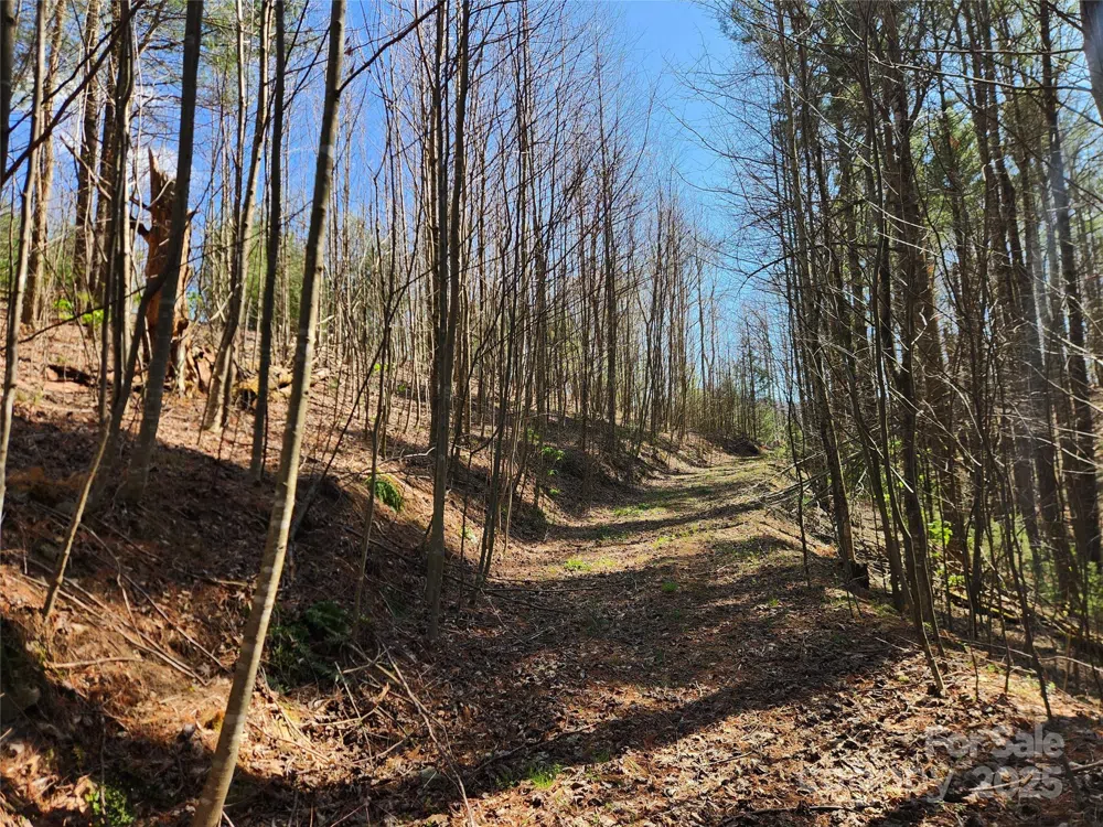 6033 Hwy 321 Highway Sugar Grove, NC 28679