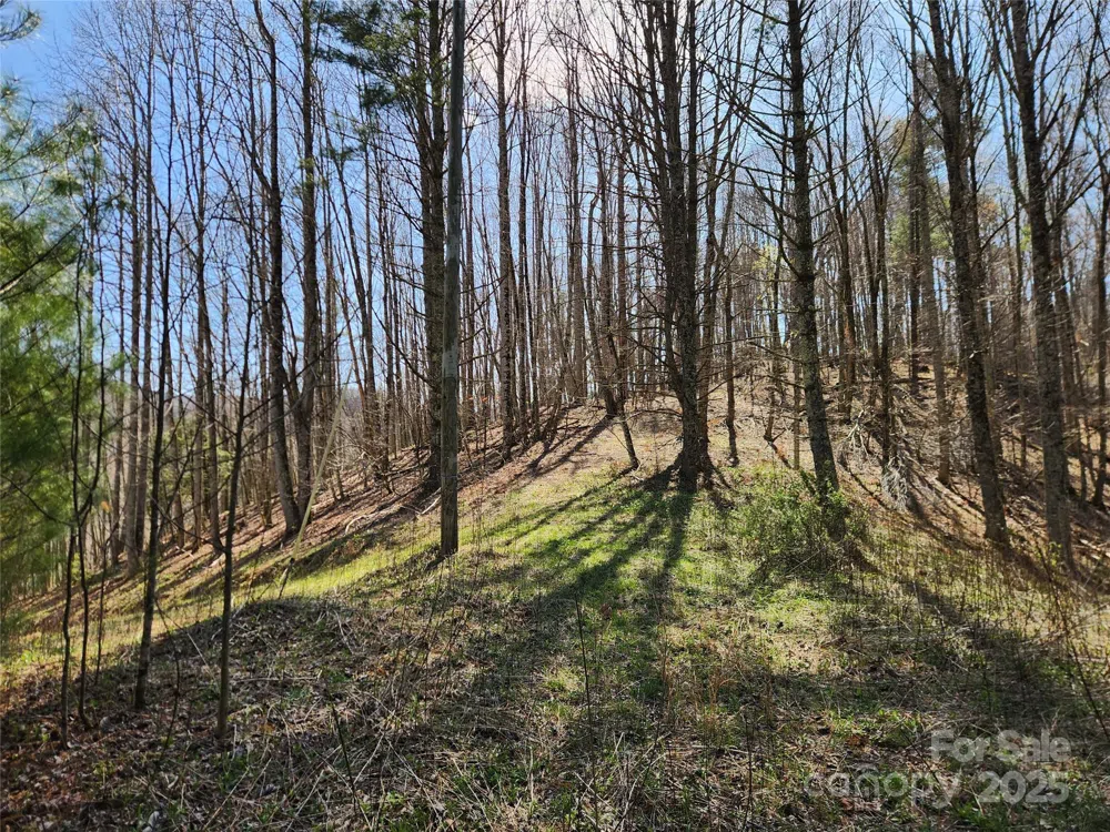6033 Hwy 321 Highway Sugar Grove, NC 28679