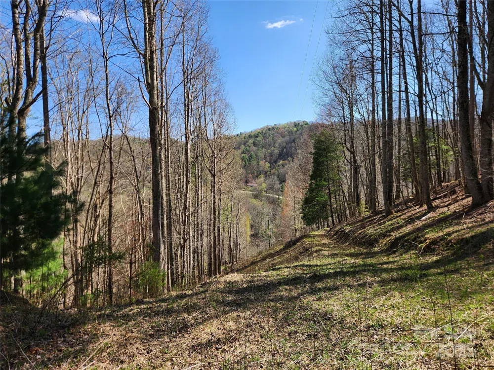 6033 Hwy 321 Highway Sugar Grove, NC 28679