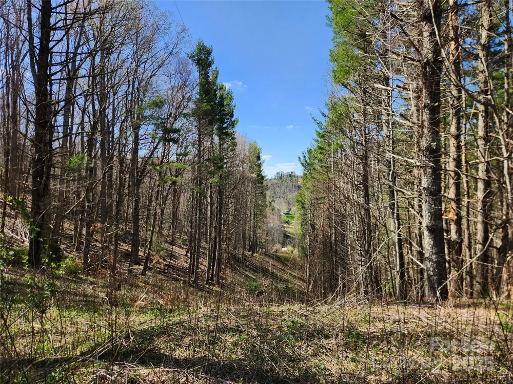 6033 Hwy 321 Highway Sugar Grove, NC 28679