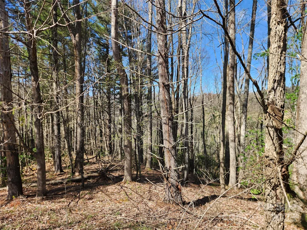 6033 Hwy 321 Highway Sugar Grove, NC 28679