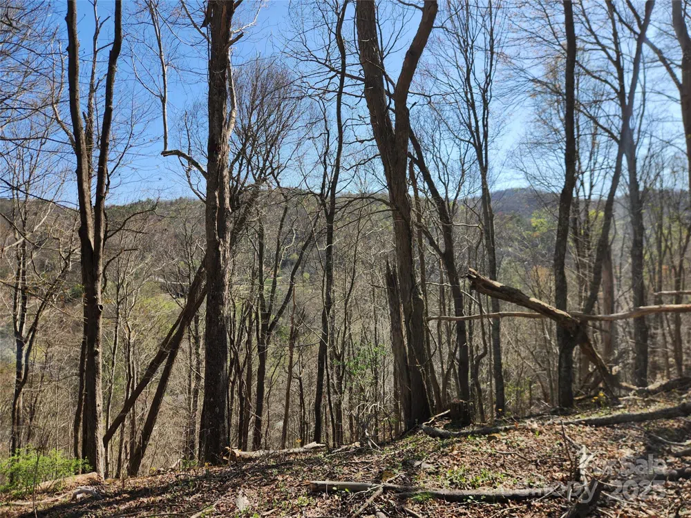 6033 Hwy 321 Highway Sugar Grove, NC 28679