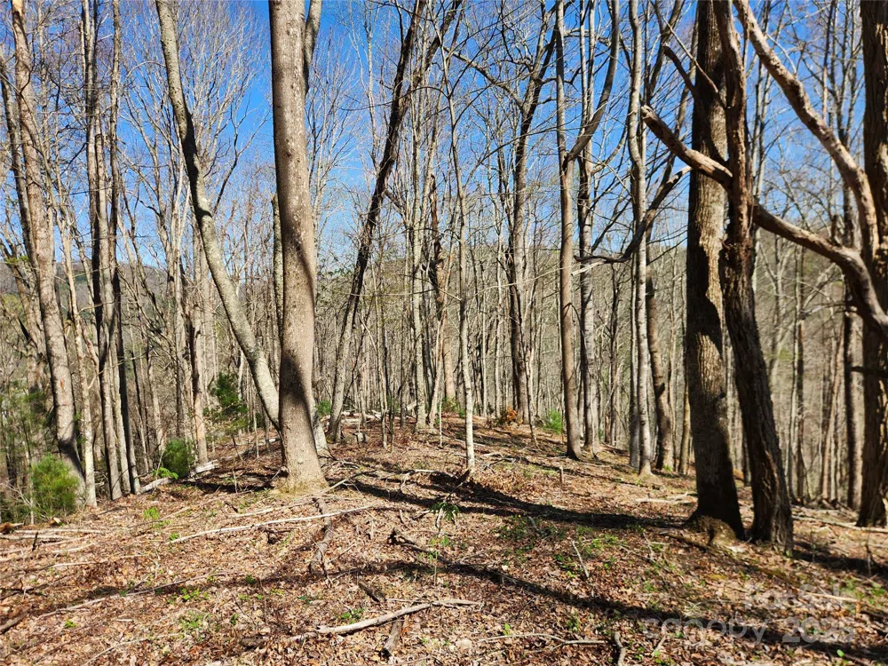 6033 Hwy 321 Highway Sugar Grove, NC 28679