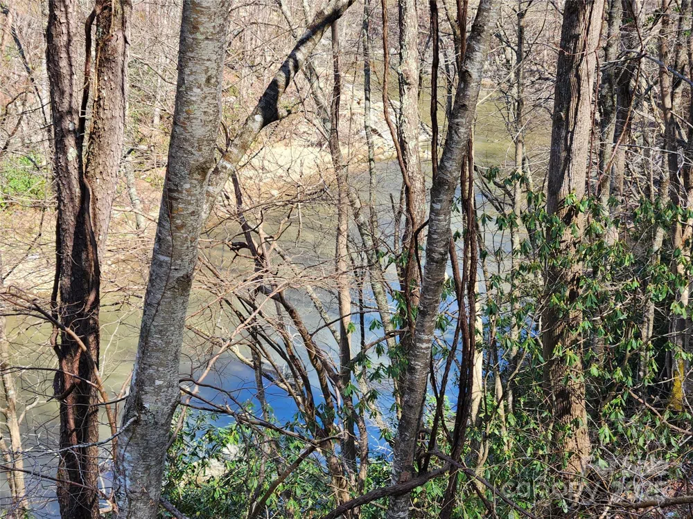 6033 Hwy 321 Highway Sugar Grove, NC 28679