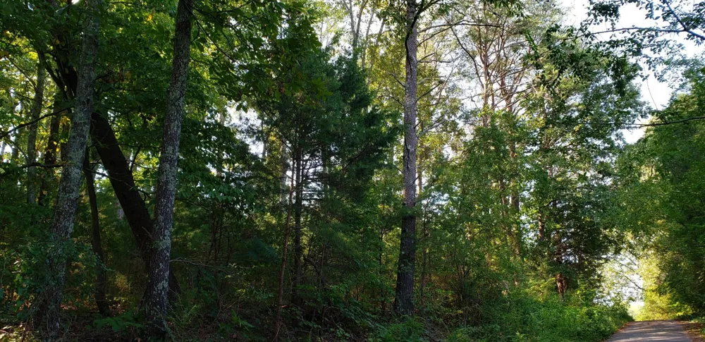 0 Treeline Drive Dunlap, TN 37327