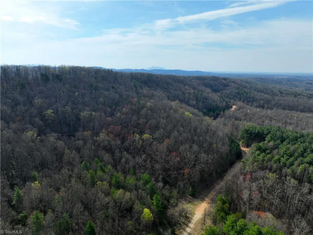 0 NE Pine Street Mount Airy, NC 27030
