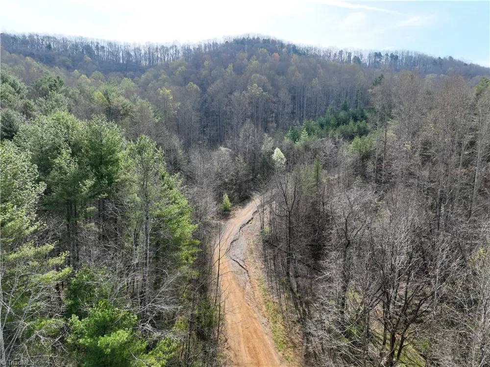 0 NE Pine Street Mount Airy, NC 27030