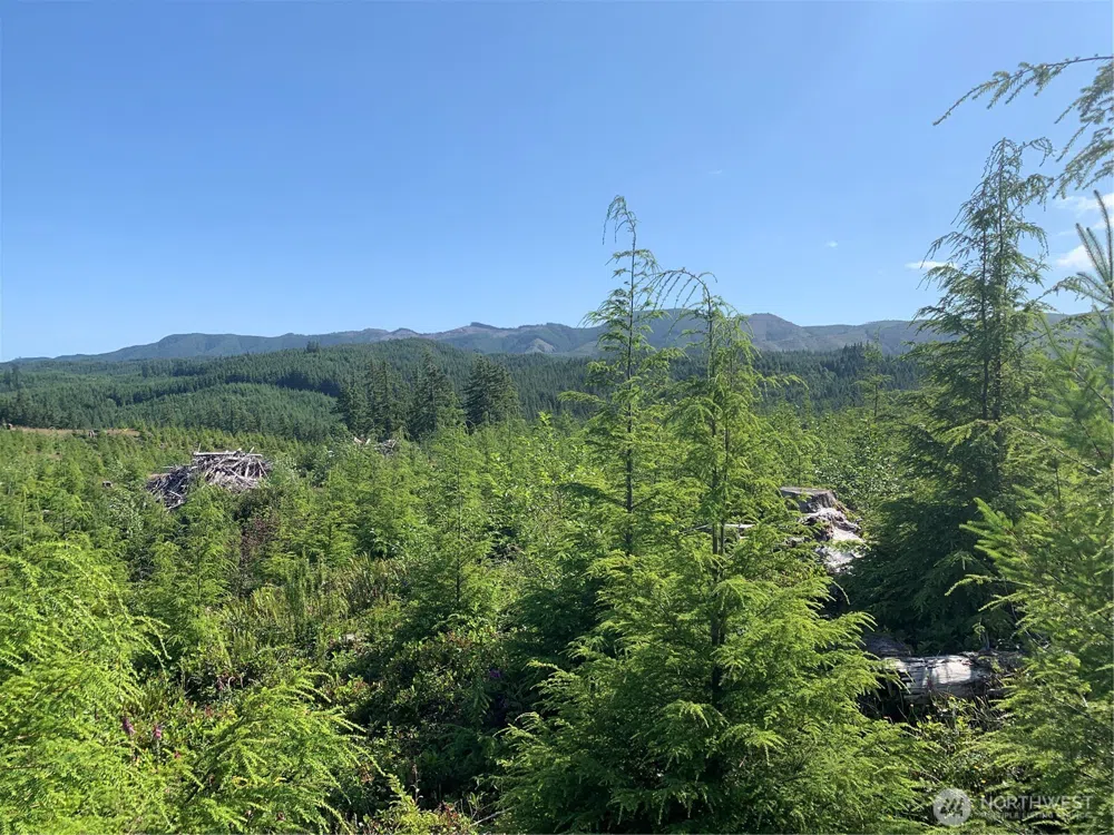 2 Tract Parpala Road Naselle, WA 98638