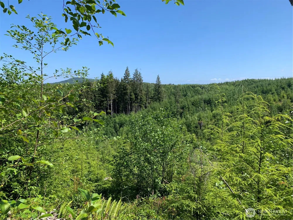 2 Tract Parpala Road Naselle, WA 98638