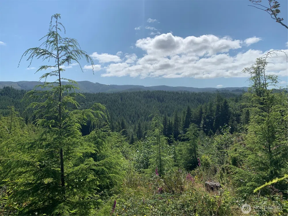 2 Tract Parpala Road Naselle, WA 98638