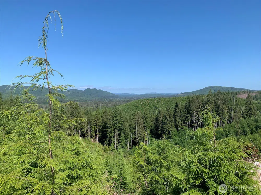 2 Tract Parpala Road Naselle, WA 98638