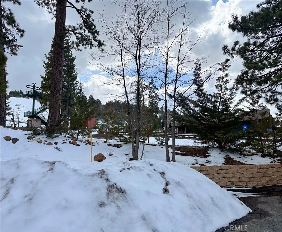 41935 Switzerland Drive #53 Big Bear, CA 92315
