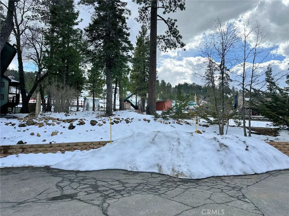 41935 Switzerland Drive #53 Big Bear, CA 92315