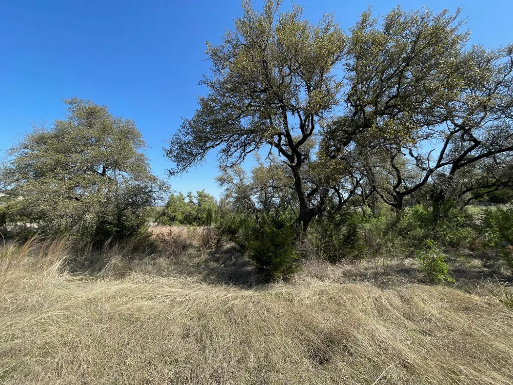 321 Cedar Mountain Drive Marble Falls, TX 78654