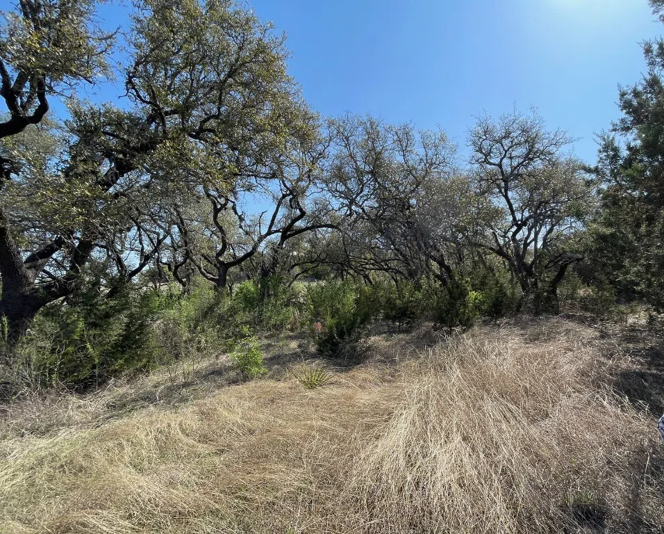 321 Cedar Mountain Drive Marble Falls, TX 78654