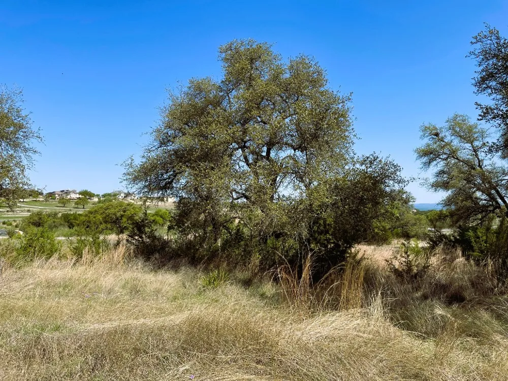 321 Cedar Mountain Drive Marble Falls, TX 78654