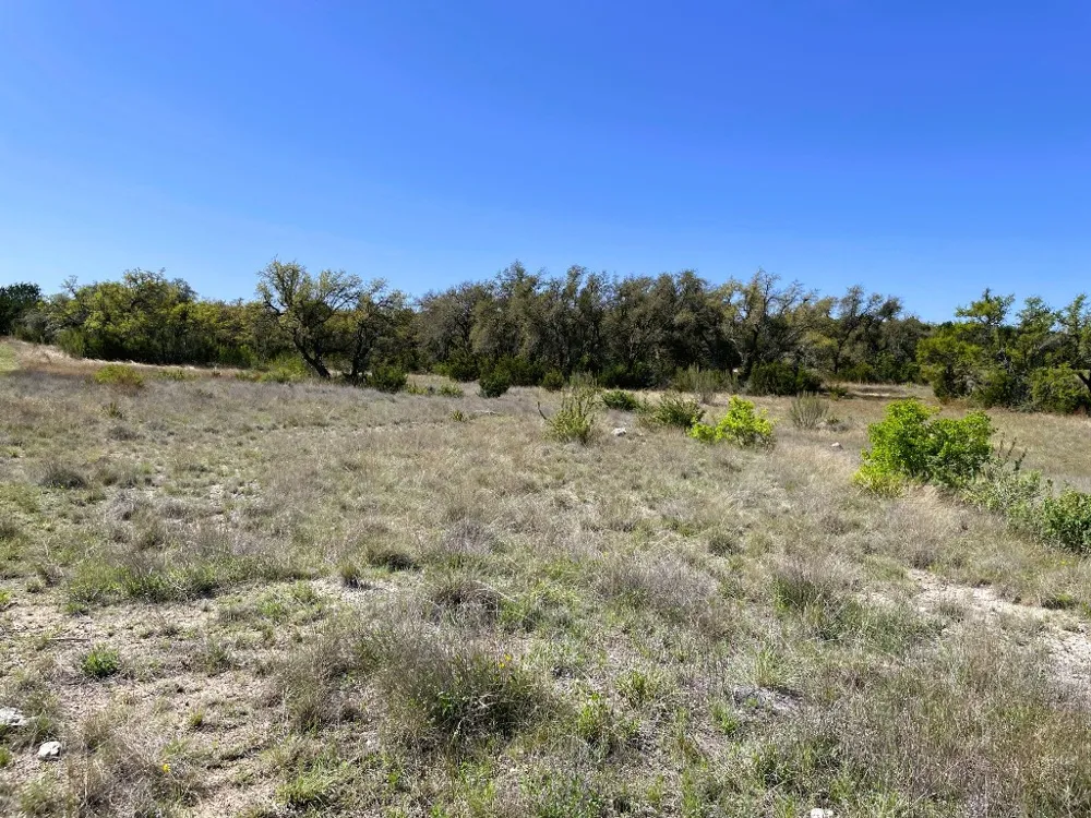 321 Cedar Mountain Drive Marble Falls, TX 78654