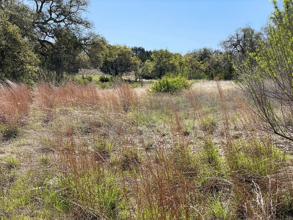 321 Cedar Mountain Drive Marble Falls, TX 78654