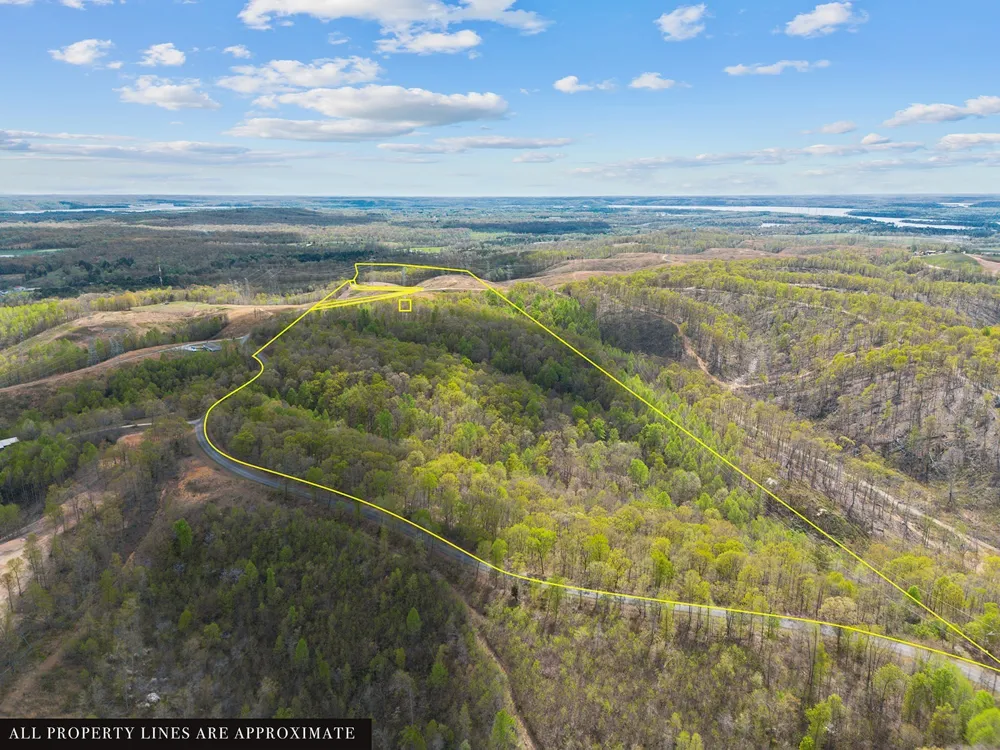 0 Nell Beard Rd New Johnsonville, TN 37134