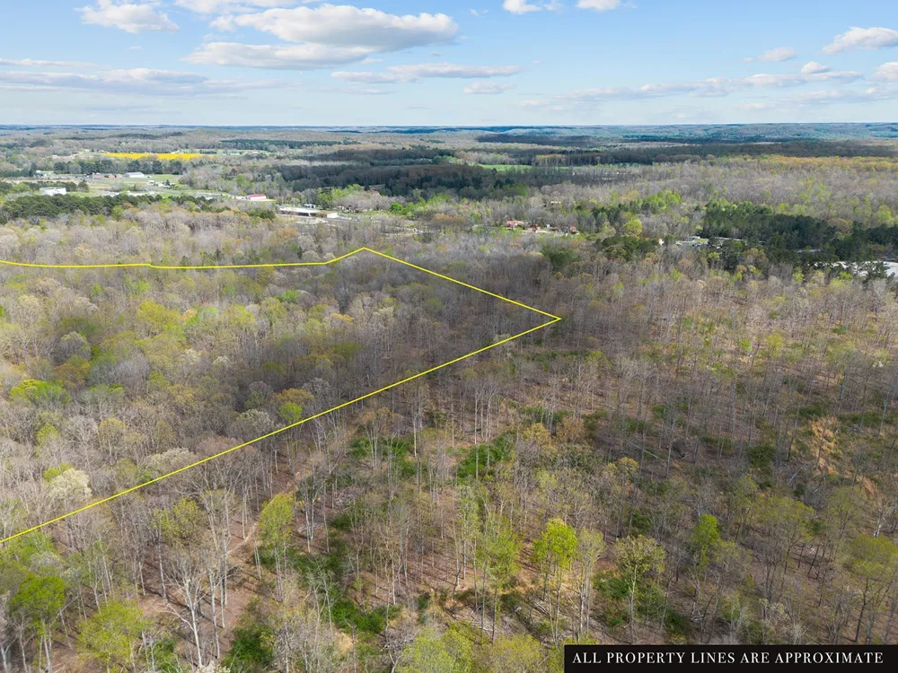 0 Nell Beard Rd New Johnsonville, TN 37134