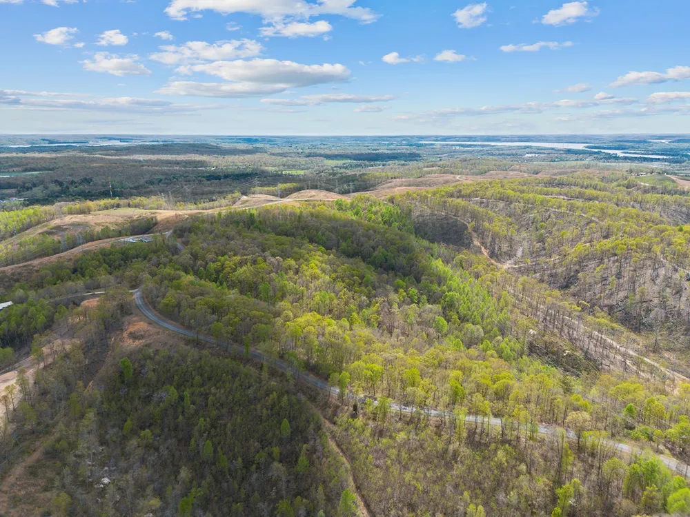 0 Nell Beard Rd New Johnsonville, TN 37134