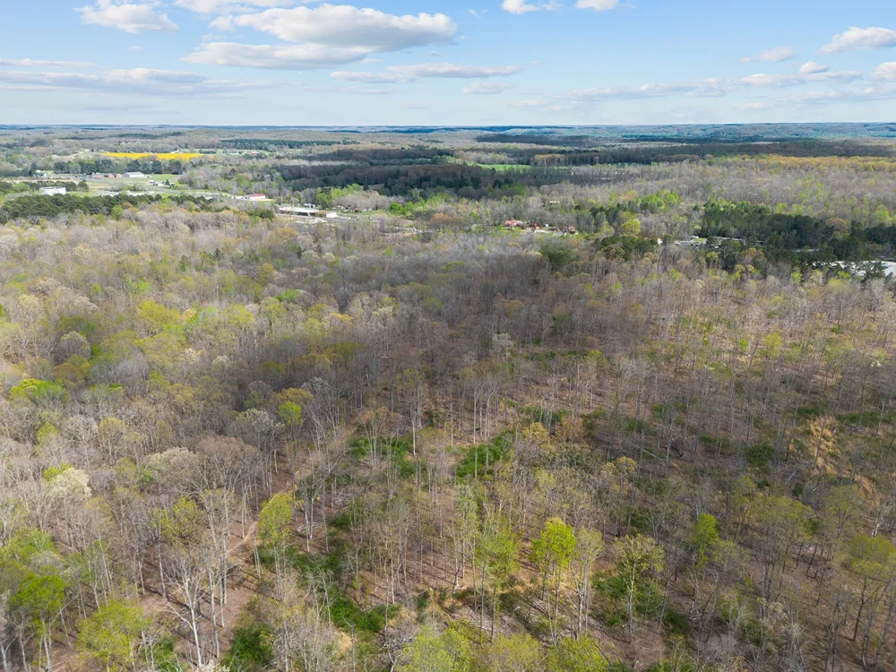 0 Nell Beard Rd New Johnsonville, TN 37134