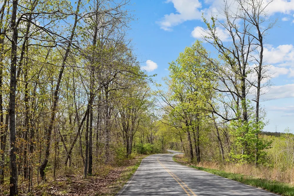 0 Nell Beard Rd New Johnsonville, TN 37134