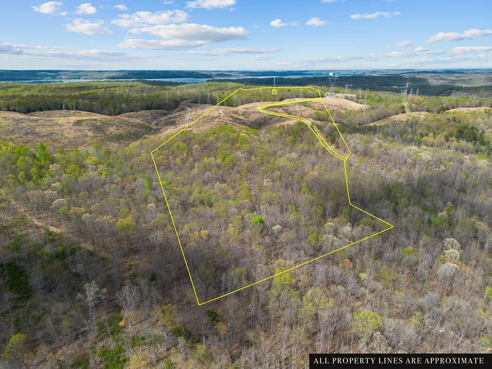 0 Nell Beard Rd New Johnsonville, TN 37134