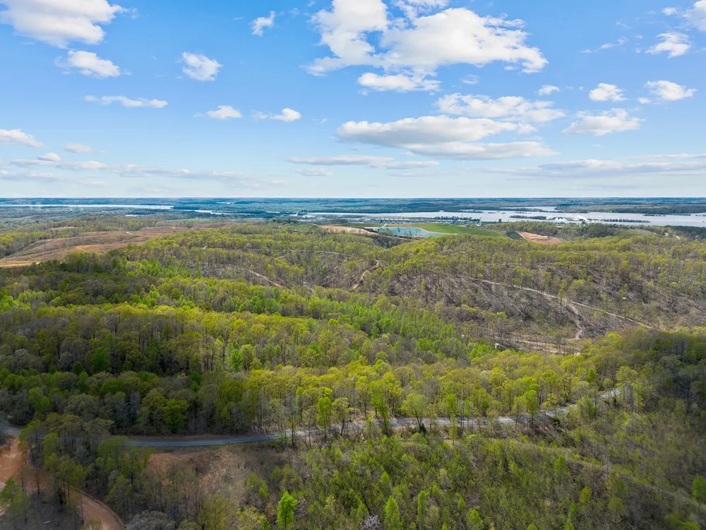 0 Nell Beard Rd New Johnsonville, TN 37134