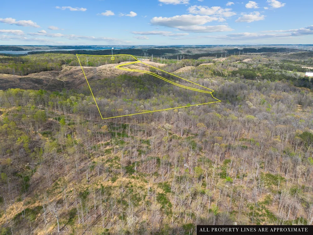 0 Nell Beard Rd New Johnsonville, TN 37134