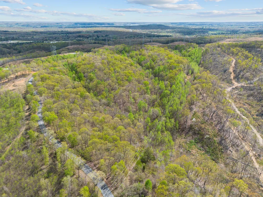 0 Nell Beard Rd New Johnsonville, TN 37134