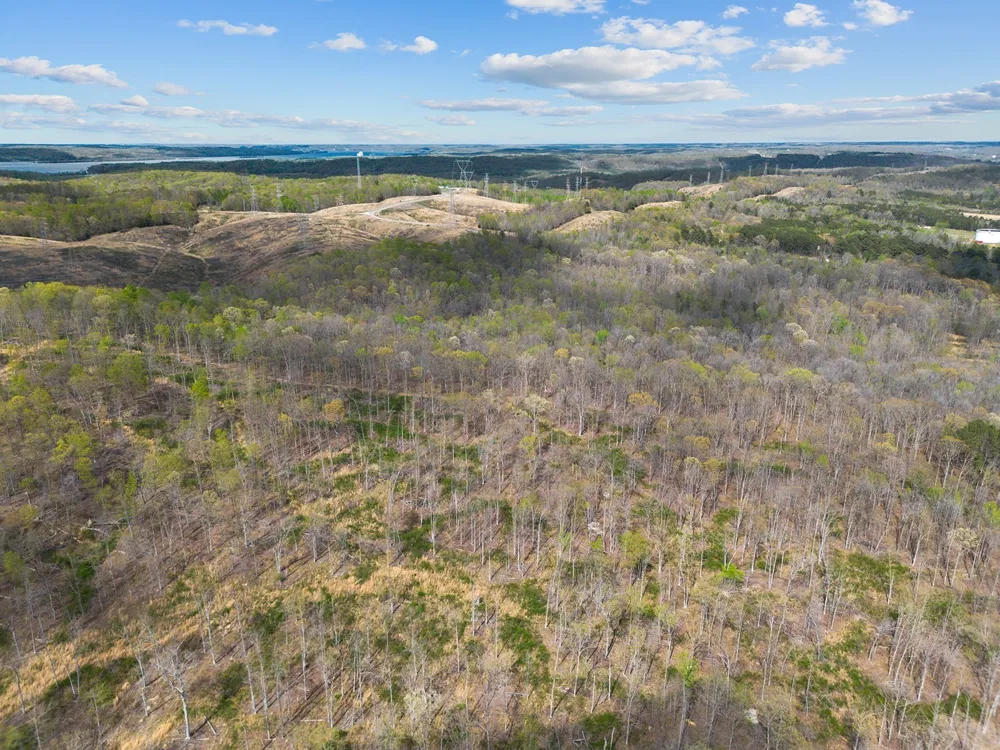 0 Nell Beard Rd New Johnsonville, TN 37134