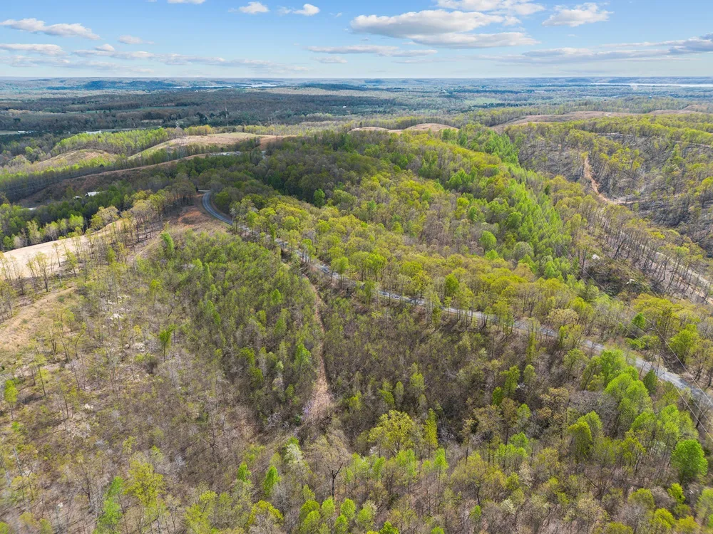 0 Nell Beard Rd New Johnsonville, TN 37134