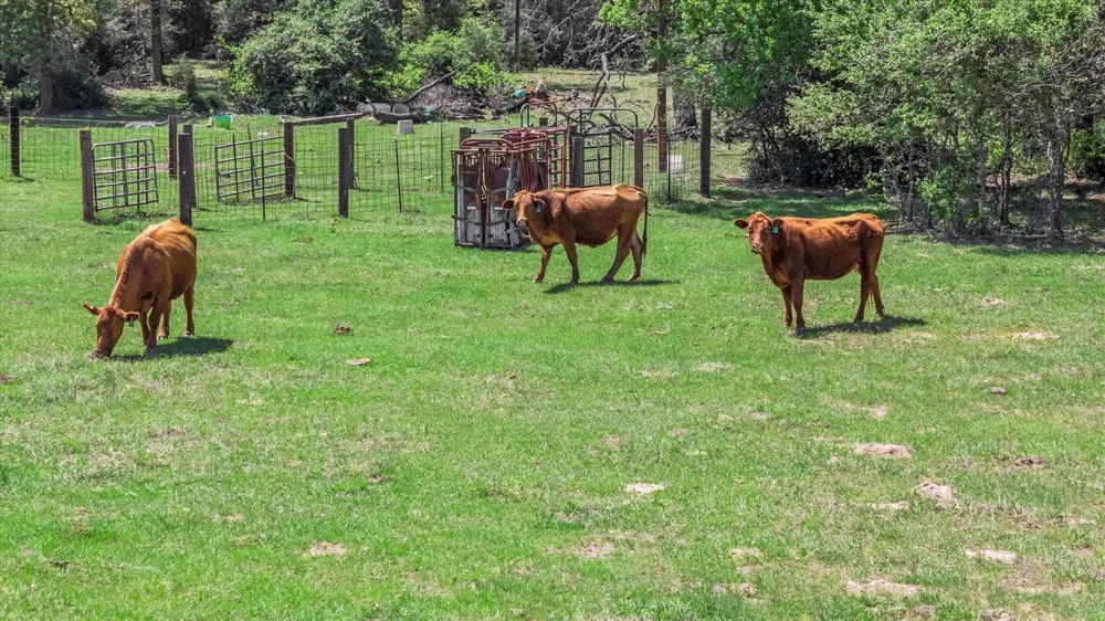 889 County Road 238 Cameron, TX 76520