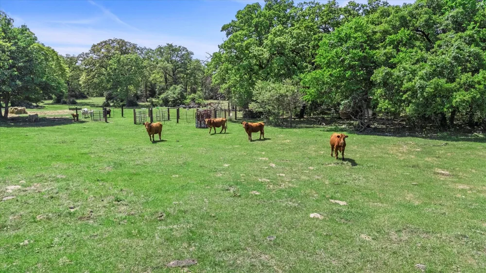 889 County Road 238 Cameron, TX 76520