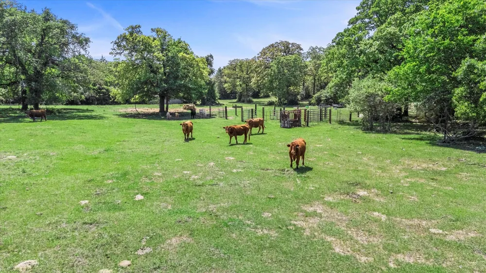 889 County Road 238 Cameron, TX 76520