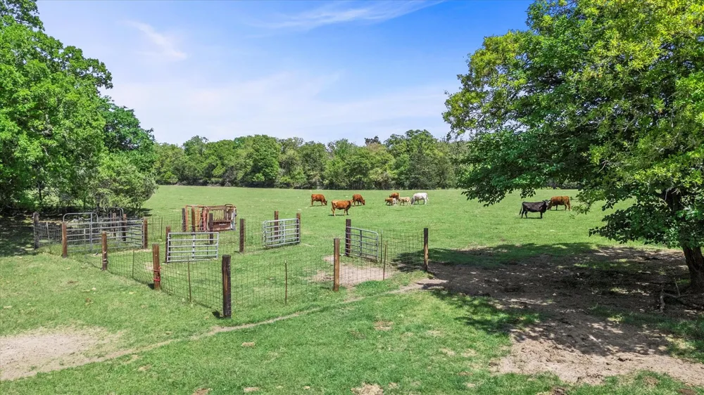 889 County Road 238 Cameron, TX 76520